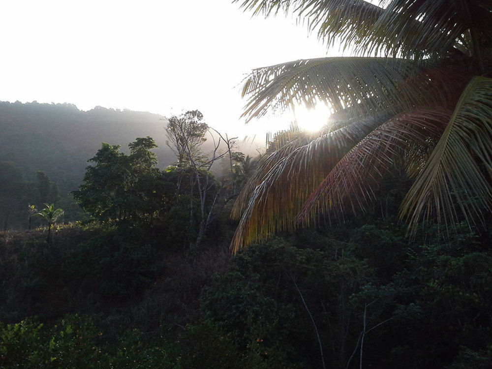 Las Cuevas Beach Lodge Exterior foto